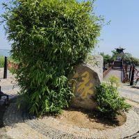 評論圖片 4
