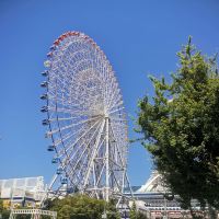評論圖片 3