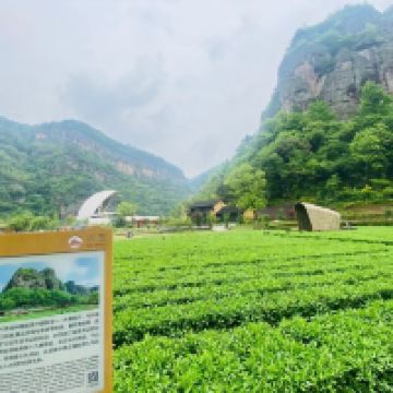 評論圖片 1