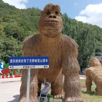 評論圖片 1