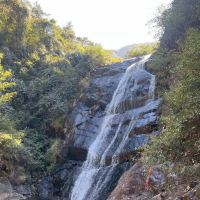 評論圖片 9