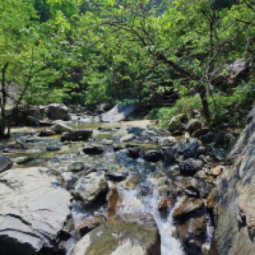 評論圖片 4