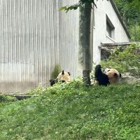 評論圖片 5