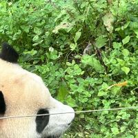 評論圖片 8