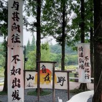 評論圖片 3
