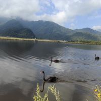 評論圖片 6