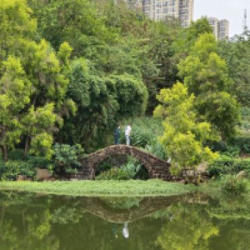 評論圖片 4