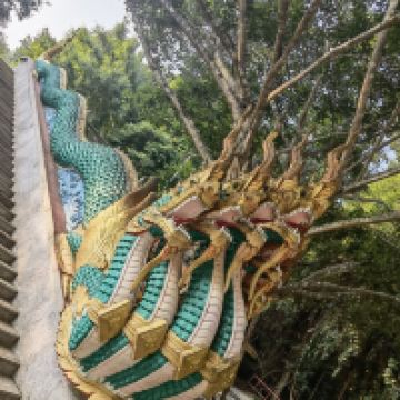 評論圖片 7