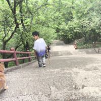 評論圖片 7