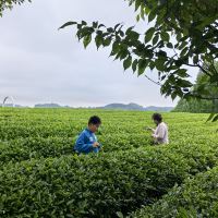 評論圖片 5