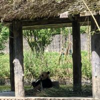 評論圖片 3
