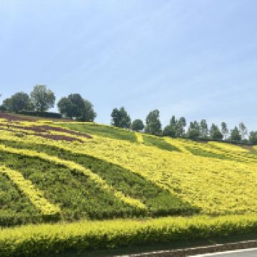 評論圖片 5