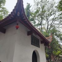評論圖片 1
