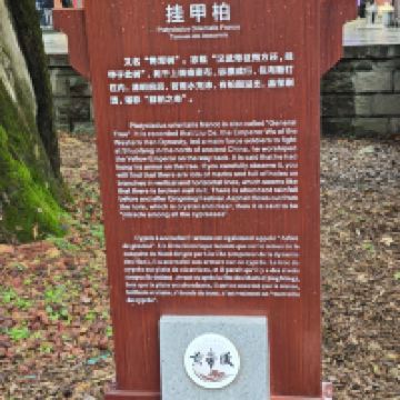 評論圖片 2