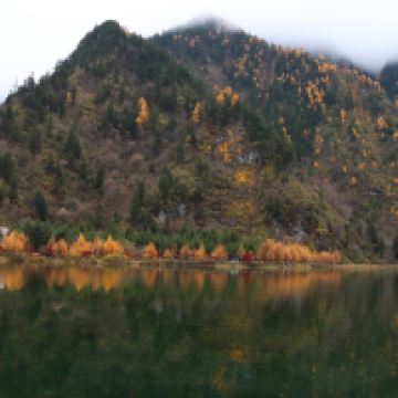 評論圖片 6