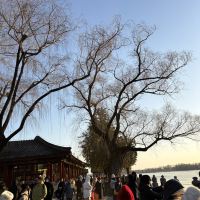 評論圖片 3