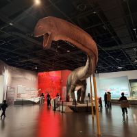 評論圖片 8