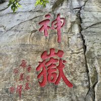 評論圖片 6
