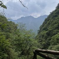 評論圖片 3
