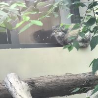 評論圖片 6