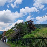 評論圖片 2
