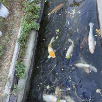 評論圖片 4