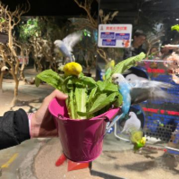 評論圖片 4