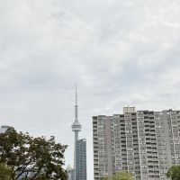 評論圖片 9