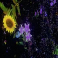 評論圖片 1