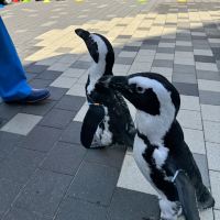 評論圖片 3