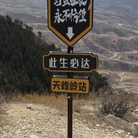 評論圖片 6