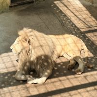 評論圖片 1
