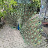 評論圖片 1