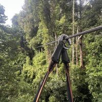 評論圖片 1