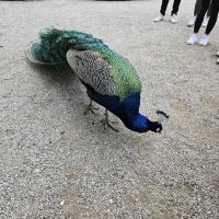 評論圖片 3
