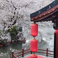 評論圖片 8