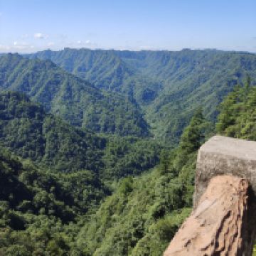 評論圖片 3
