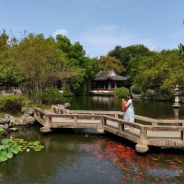 評論圖片 3