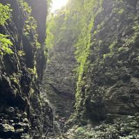 評論圖片 1