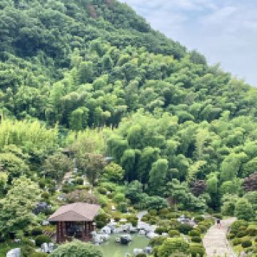 評論圖片 3