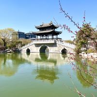 評論圖片 5
