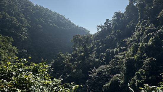 第一天去鼎湖山、第二天去七星岩，行程比較舒服價格也優惠。自由