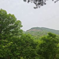 評論圖片 6