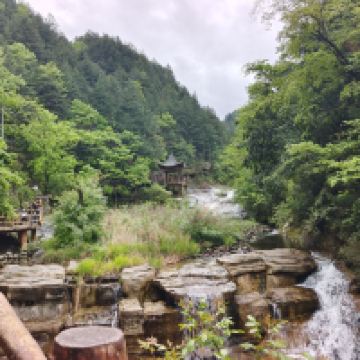 評論圖片 5