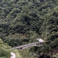 評論圖片 6