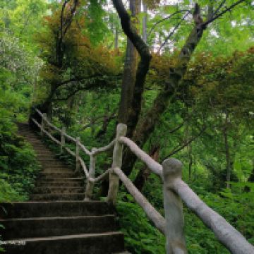 評論圖片 2