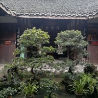 評論圖片 4
