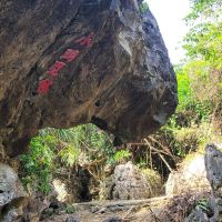 評論圖片 7