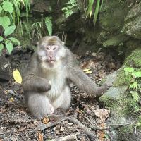 評論圖片 2