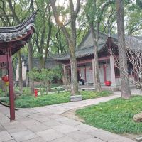 評論圖片 5